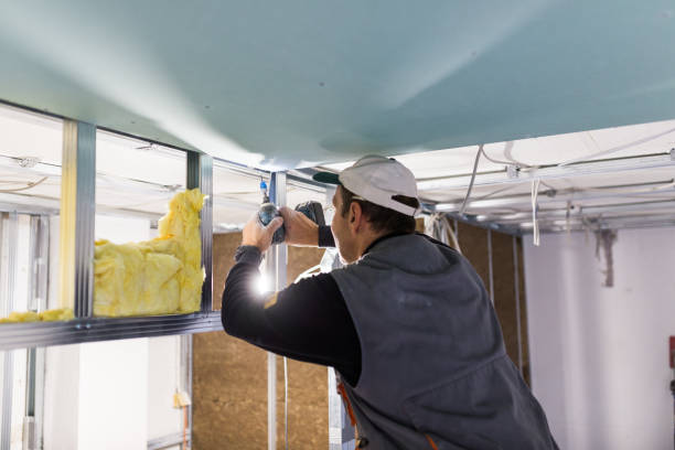 Types of Insulation We Offer in Tyler, TX