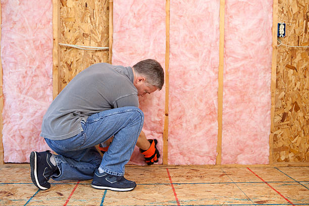 Best Batt and Roll Insulation  in Tyler, TX